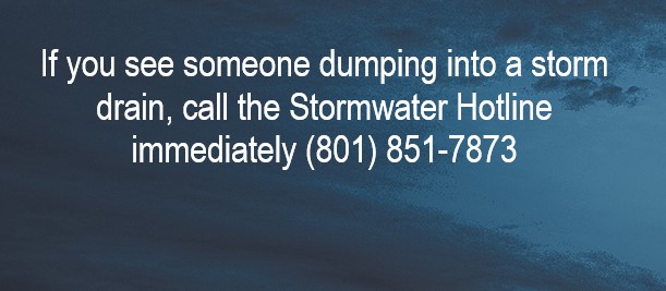 Stormwater Hotline